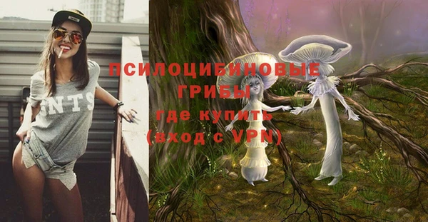 наркотики Абаза