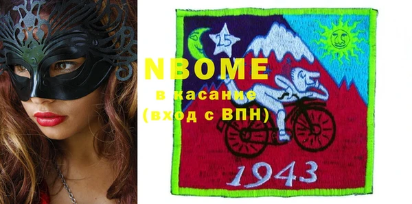 гашик Алексин