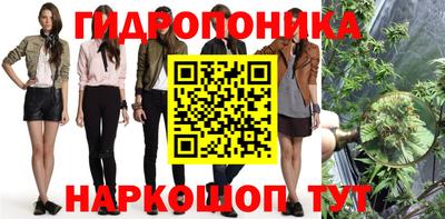 винт Можга