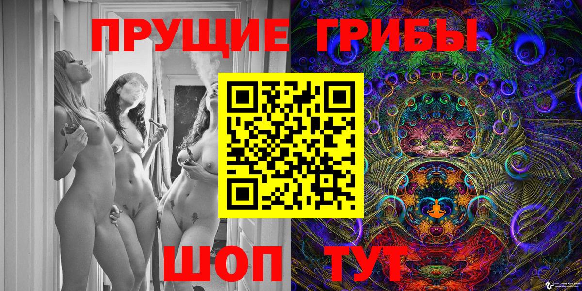 Псилоцибиновые грибы мицелий Шахты