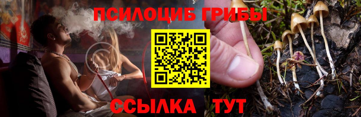 Галлюциногенные грибы прущие грибы  Псилоцибиновые грибы Psilocybe  Шахты  Вход с VPN 